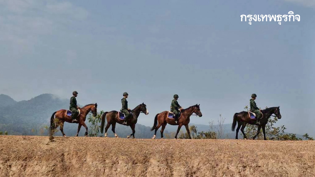 ทหารไทย ขี่ม้าลาดตระเวนป่าเชียงใหม่ ป้องกันไฟป่า สยบฝุ่น PM 2.5