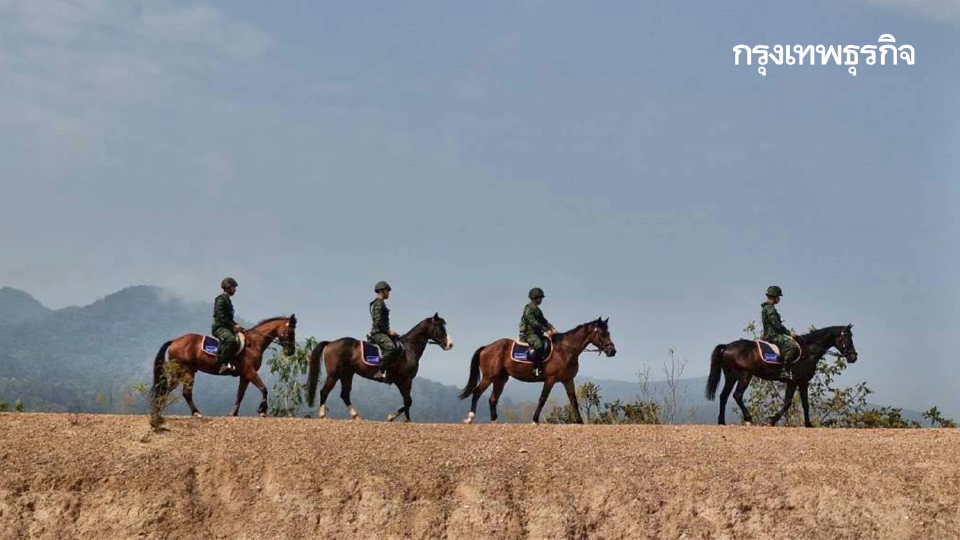 ทหารไทย ขี่ม้าลาดตระเวนป่าเชียงใหม่ ป้องกันไฟป่า สยบฝุ่น PM 2.5
