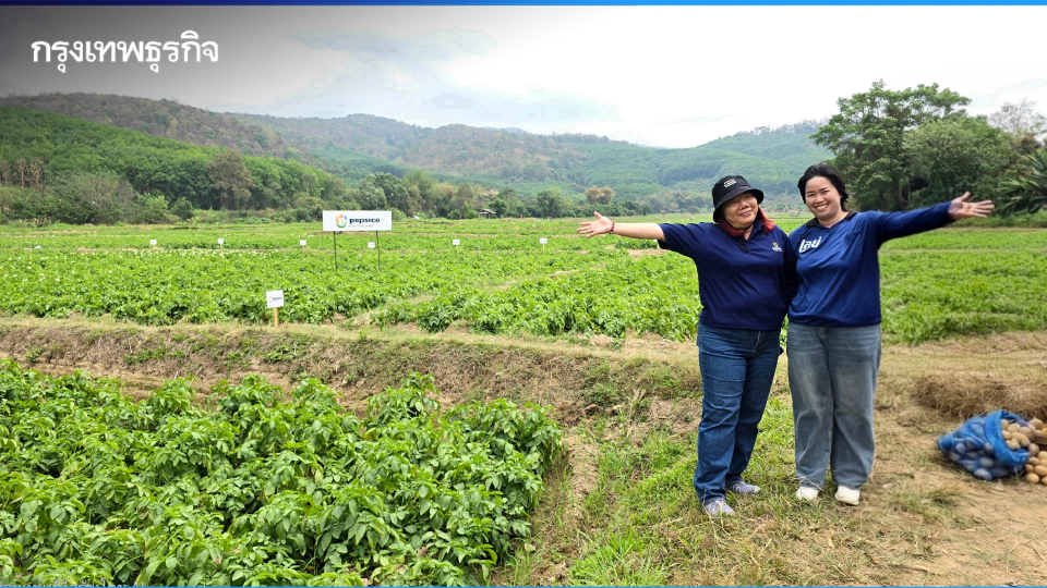 เกษตรกร ‘ฮีโร่’ เผยวิธีปลูก ‘มันฝรั่ง’ ให้ยั่งยืน ทั้งรายได้และสิ่งแวดล้อม