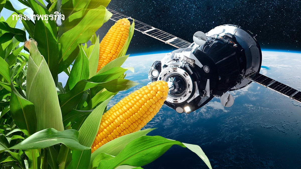 ECO-PLANT ขับเคลื่อนเกษตรไทยยุคอวกาศ ใช้ดาวเทียมติดตามผลผลิตทั้งประเทศ