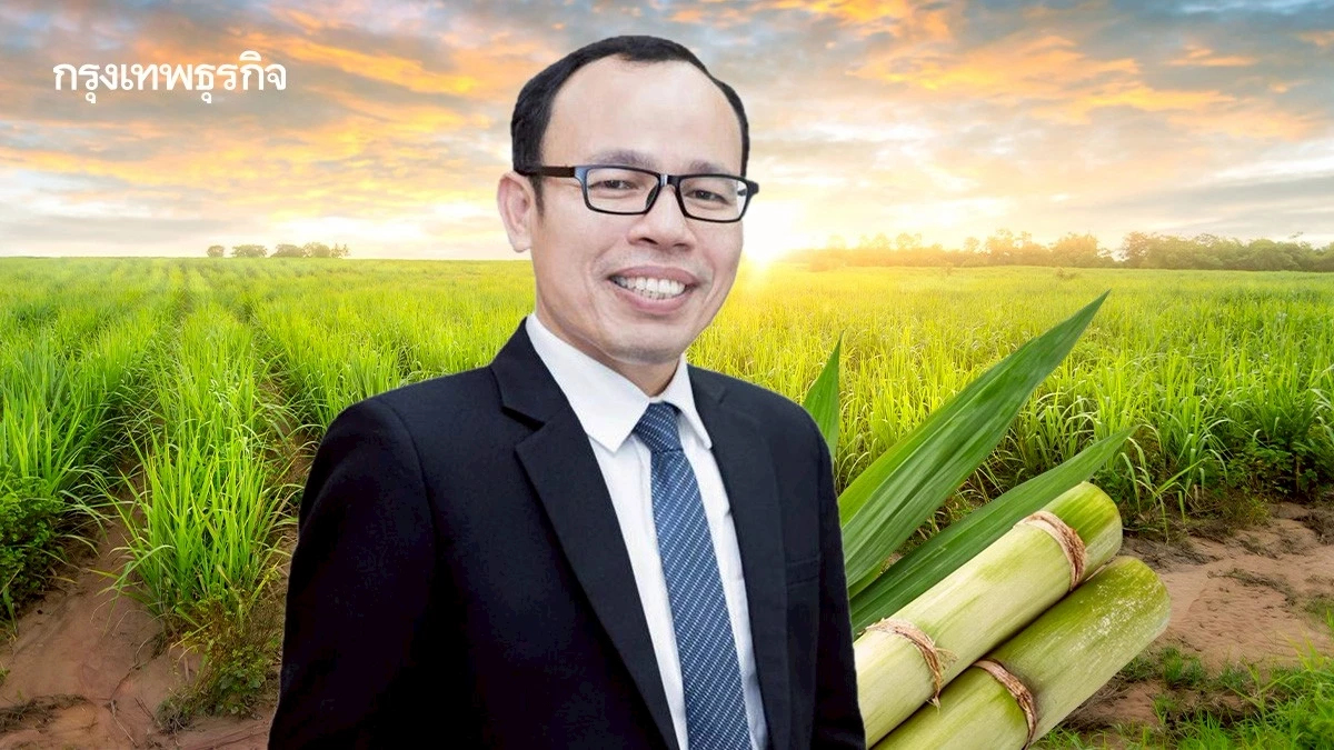 สอน. ดัน 'ใบ-ยอดอ้อย' เป็นเชื้อเพลิงกู้วิกฤติพลังงานไทย