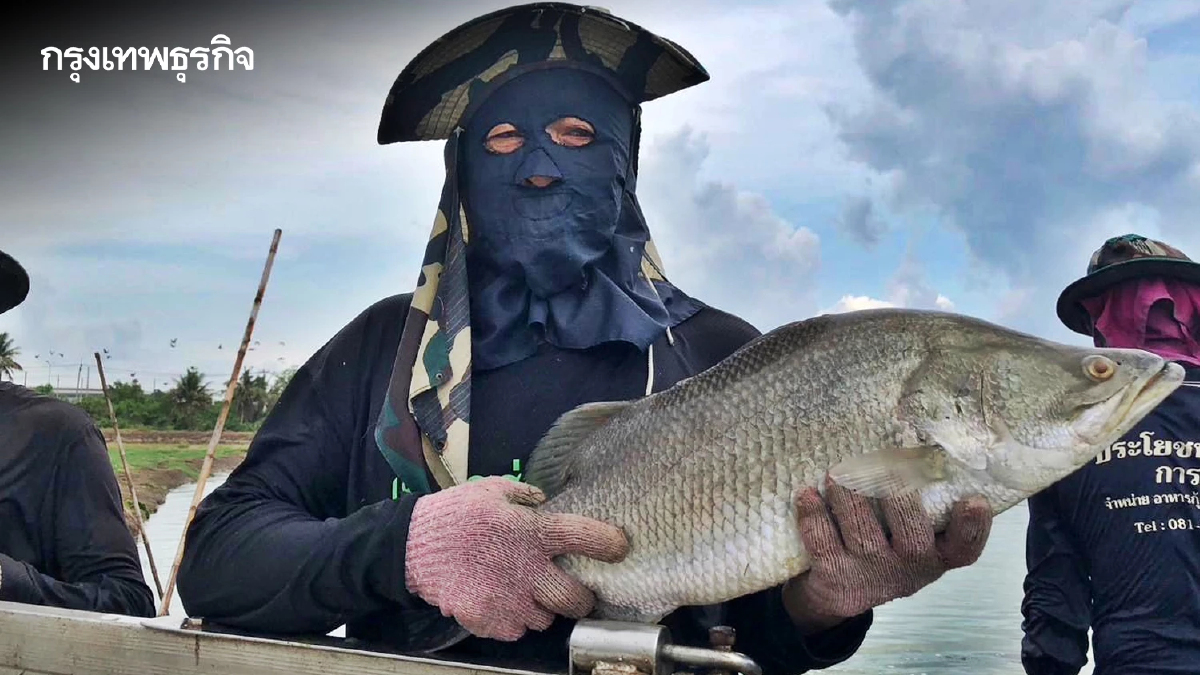 'ปลากะพงสองน้ำสมุทรปราการ' สินค้า GI ใหม่ เนื้อแน่นหวาน สร้างรายได้ 536 ล้าน