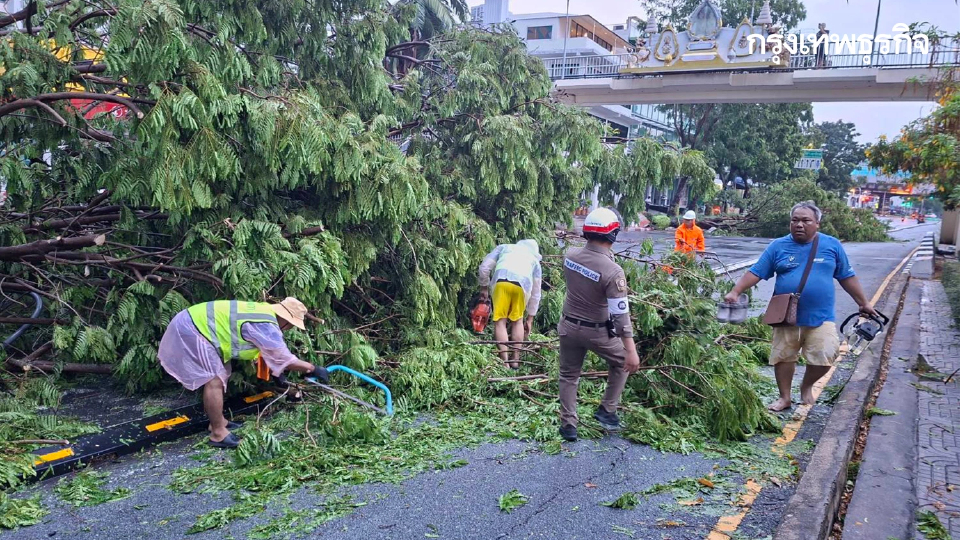 พายุฤดูร้อนถล่มกรุงเทพ 'ยานนาวา' ฝนตกหนัก ลมแรง ต้นไม้ล้มขวางถนน