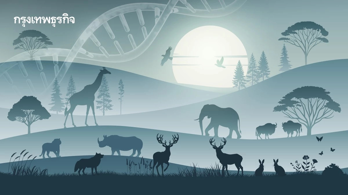 ยุคทองแห่งการค้นพบ! เจอสิ่งมีชีวิตชนิดใหม่มากสุดในรอบ 300 ปี แต่ส่วนใหญ่ใกล้สูญพันธุ์