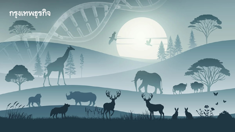 ยุคทองแห่งการค้นพบ! เจอสิ่งมีชีวิตชนิดใหม่มากสุดในรอบ 300 ปี แต่ส่วนใหญ่ใกล้สูญพันธุ์