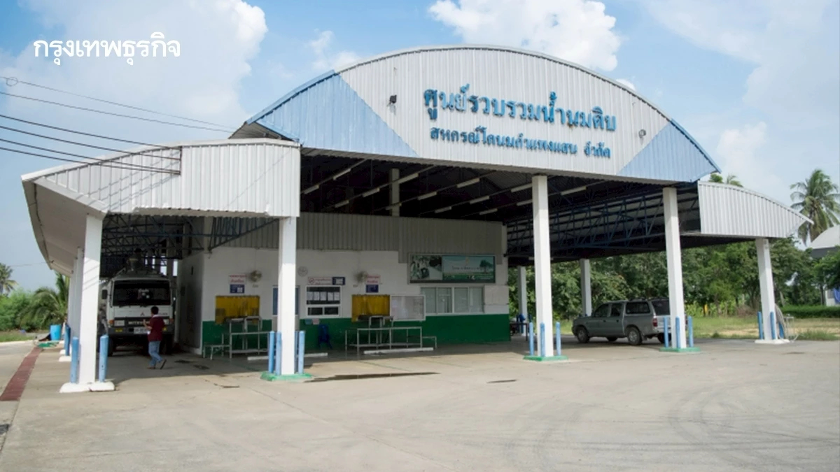 สหกรณ์โคนมกำแพงแสน ทุ่ม 300 ล้านบาท สร้างโรงงานผลิตนมผง