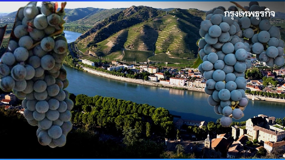 ซีฮราห์ - ชิราซ : ความเหมือนที่แตกต่าง