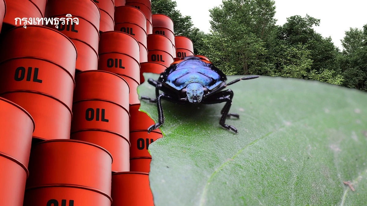 ทำไม "ป่าและแมลง" ถึงสำคัญพอๆ กับ "น้ำมันและก๊าซ" ในโลกยุคใหม่