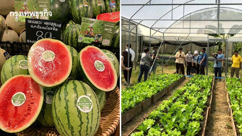 กรมพัฒนาที่ดิน  หนุนเกษตรกร 2.5 แสนราย ทำเกษตรอินทรีย์  PGS  เป้า 2 ล้านไร่