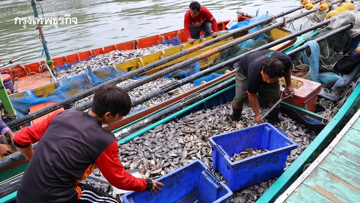 เรือประมงออกหาปลาได้ 1 เดือน จี้รัฐกดราคาน้ำมันก่อนต้องจอด 60-70 %