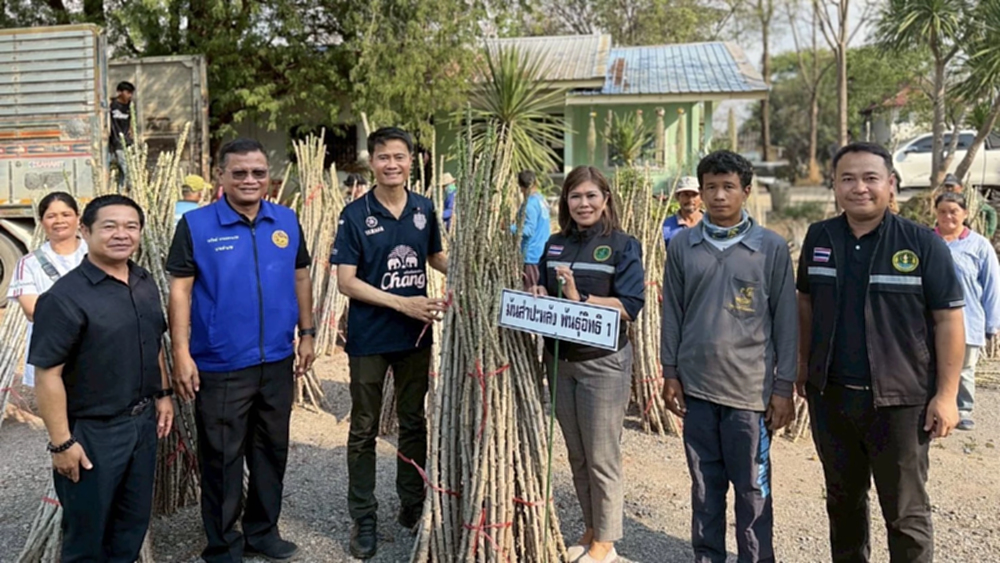 ‘มิสเตอร์เกษตร’ ผนึกส่วนราชการชัยภูมิ มอบท่อนพันธุ์มันสำปะหลัง ต้านโรคให้ ปชช.