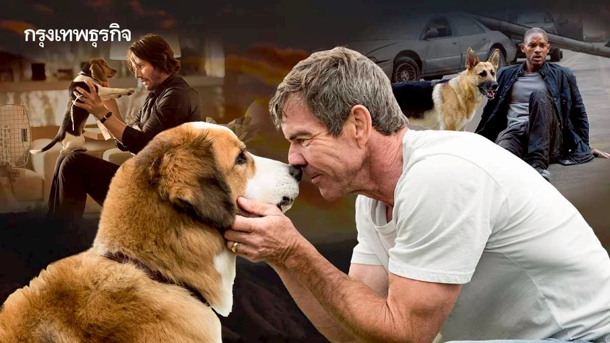 ทำไมเวลา ‘สัตว์’ ในหนัง-ซีรีส์ตาย ถึงทำให้คนดูเศร้ากว่ามนุษย์ตาย?