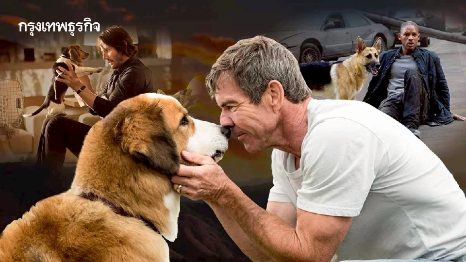 ทำไมเวลา ‘สัตว์’ ในหนัง-ซีรีส์ตาย ถึงทำให้คนดูเศร้ากว่ามนุษย์ตาย?