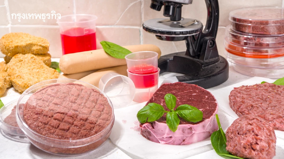 'ไมโคโปรตีน' อาหารแห่งอนาคต ผลิตจากเส้นใยเชื้อรา ไม่มีคอเลสเตอรอล แคลอรี่ต่ำ