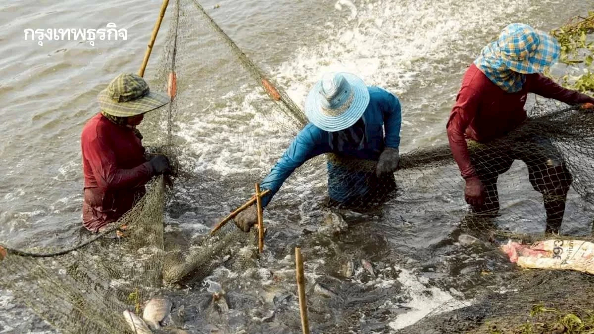 บทเรียนแม่น้ำกก สะท้อนความสำคัญ 'คุณภาพน้ำ' โจทย์ใหญ่อุตสาหกรรมกุ้งไทย