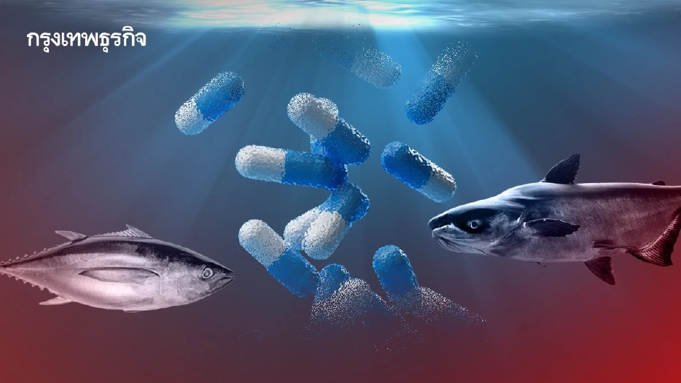 ‘ยา’ ปนเปื้อนแหล่งน้ำทั่วโลก ทำให้ ‘เชื้อดื้อยา’ ปัญหาสิ่งแวดล้อมที่ถูกมองข้าม