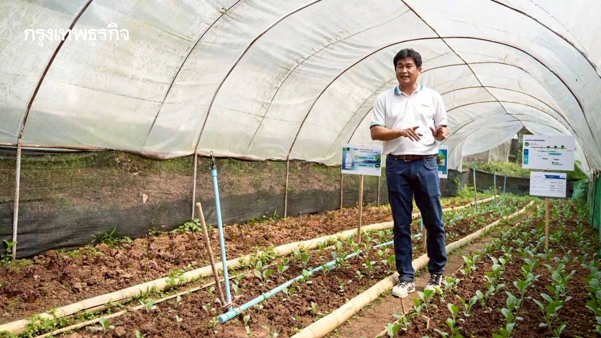 ซินเจนทา เปิดศูนย์เรียนรู้บ้านห้วยตอง เชียงใหม่ รุกเกษตรปลอดภัยยั่งยืน