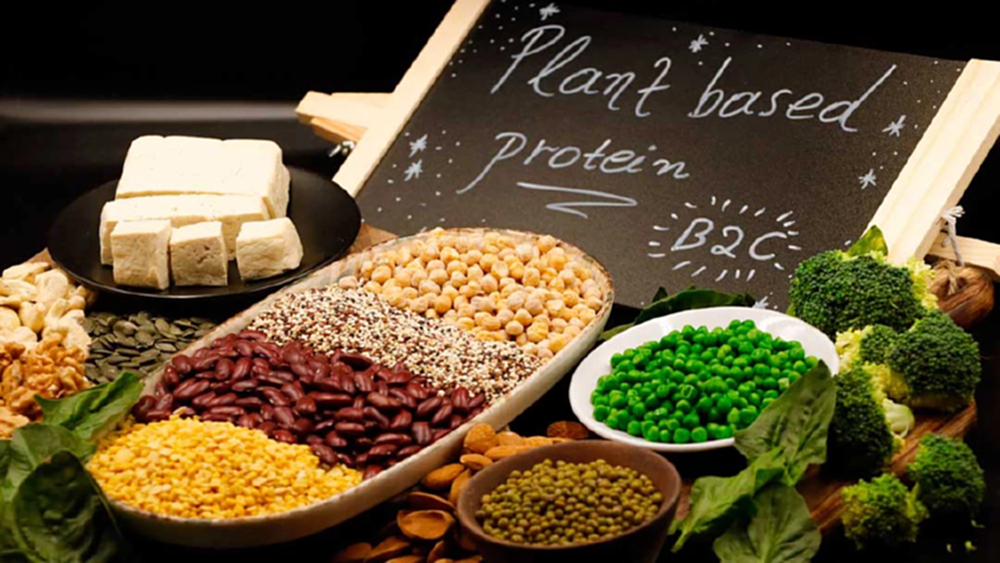 รู้จัก 'นิวโปรตีน' โปรตีนทางเลือกที่เหมาะกว่า สำหรับผู้สูงอายุ