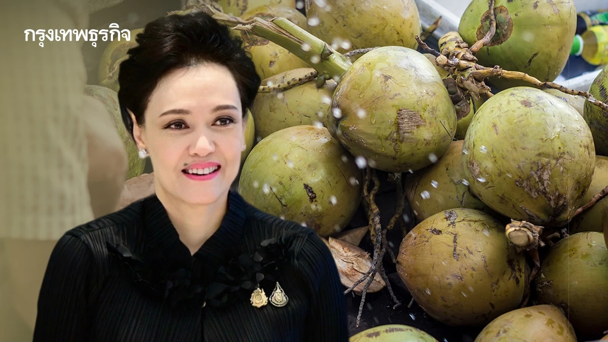 ‘ศุภจี’ ท้าชน 239 ‘ล้งมะพร้าว’ หยุดซื้อถาวร  ‘พาณิชย์’ พร้อมตั้งล้งกลาง - หาตลาดเอง