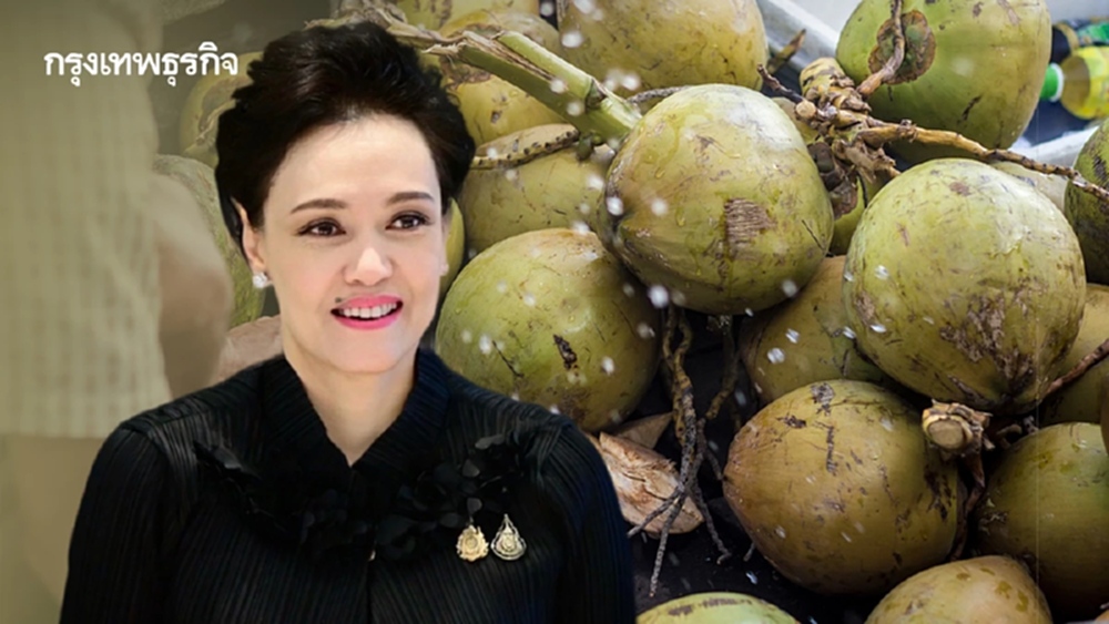 ‘ศุภจี’ ท้าชน 239 ‘ล้งมะพร้าว’ หยุดซื้อถาวร  ‘พาณิชย์’ พร้อมตั้งล้งกลาง - หาตลาดเอง