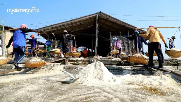 ‘กรมวิชาการเกษตร’ดึงเครือข่ายบูรณาการเกลือทะเลไทย ลุย“Sea to Government”คงเสถียรภาพราคา ปี2568/69
