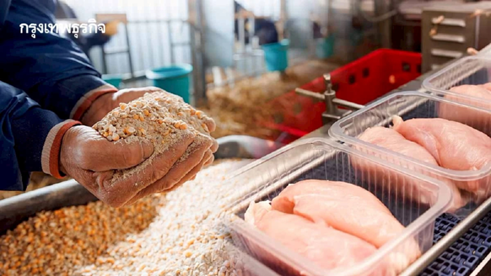 “โกลเบล็ก” เปิดโพยหุ้นเด่นรับอานิสงส์ FTA โต ดันหุ้นกลุ่มอาหารสัตว์-แปรรูปเนื้อไก่คึก