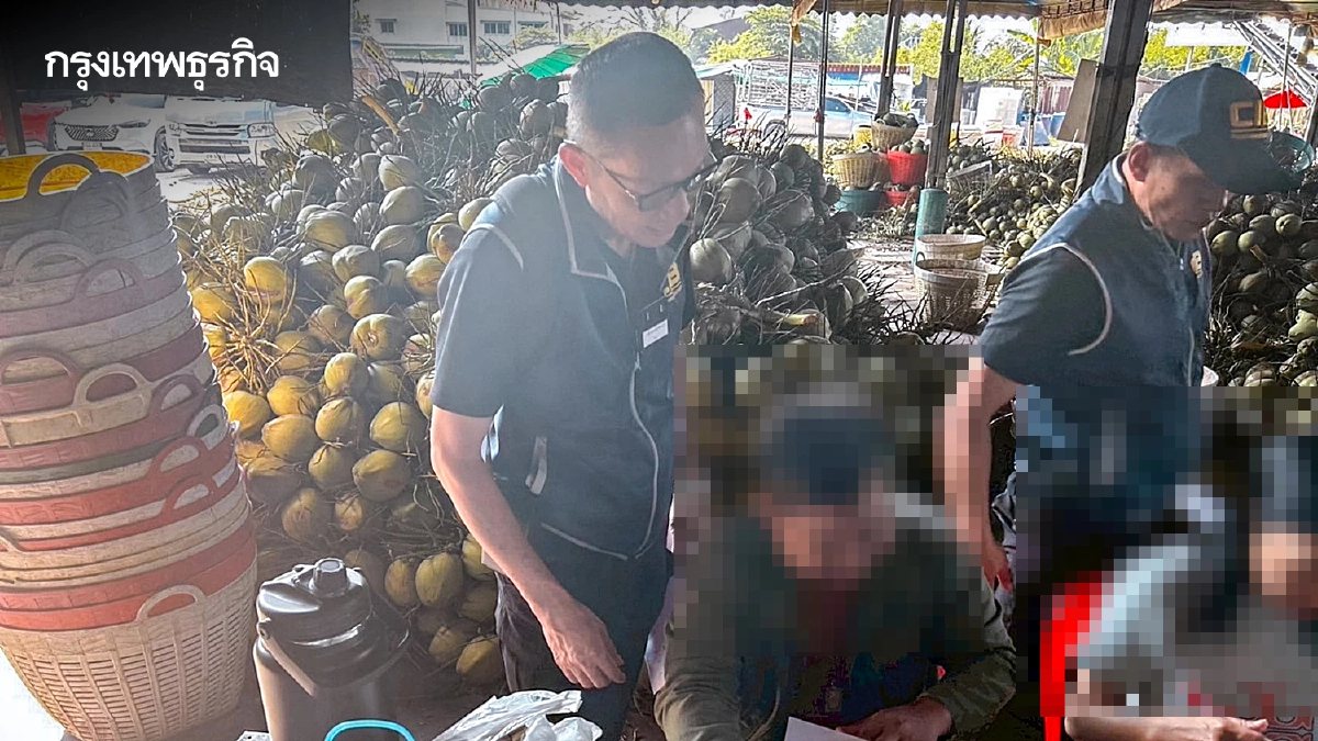 เปิดปฏิบัติการ 'ปอกเปลือกนอมินี' ค้น 8 ล้งนอมินีทุนจีน กดราคามะพร้าวน้ำหอมไทย