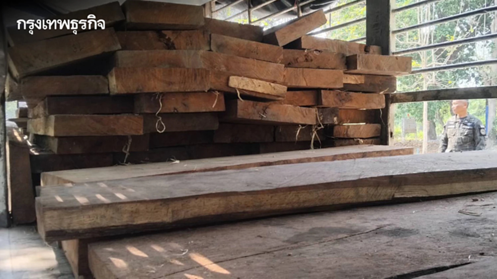 บิ๊กล็อต จับขบวนการค้าไม้ประดู่เถื่อน เตรียมส่งโกดังภาคกลาง อุทยานฯ เร่งขยายผลล่านายทุน