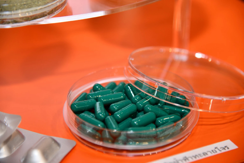 สถาบันวิจัยจุฬาภรณ์เปิดตัว 'ยาแคปซูลสารสกัดฟ้าทะลายโจร' สกัดด้วยน้ำแห่งแรก