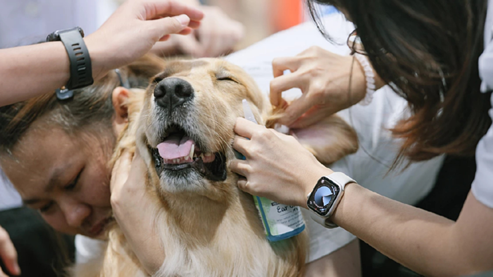 ไฮไลต์ PET EXPO 2026 ตรวจสุขภาพฟรี ส่องเฮลท์เทคสุดล้ำ รับเทรนด์ longevity