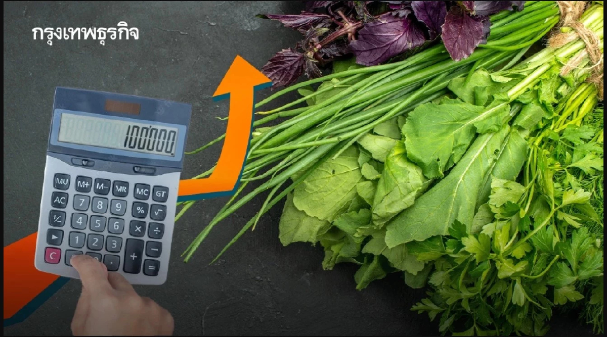 วิกฤติอากาศร้อนจัด แนะฟื้นฟูดูแล 'พืชผัก' กลับมาทำกำไรได้เร็วที่สุด