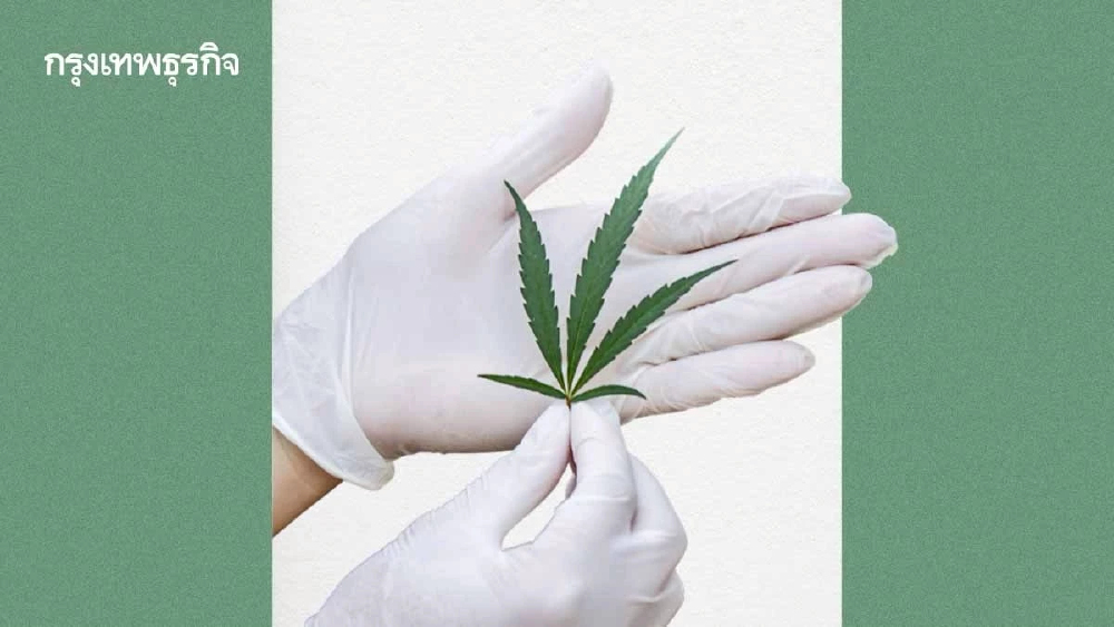 บังคับใช้แล้ว ‘กฎกระทรวงสารสกัดกัญชากัญชง’ (ใหม่)  เปิดช่องใช้ประโยชน์ส่วนที่เป็นยาเสพติด 4 ข้อ