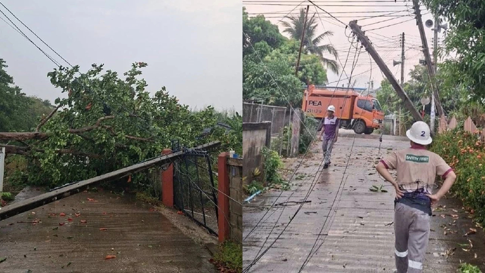 'สภาพอากาศ' พายุฤดูร้อนฝนตกลมแรงพัดถล่ม เสาไฟฟ้าล้ม PEA เร่งแก้