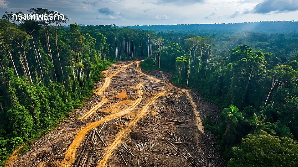 'ความหลากหลายทางชีวภาพ' ไม่ใช่แค่เรื่องป่าไม้ แต่คือ 'จุดตาย' ใหม่ที่ธุรกิจไทยต้องเร่งปรับตัว