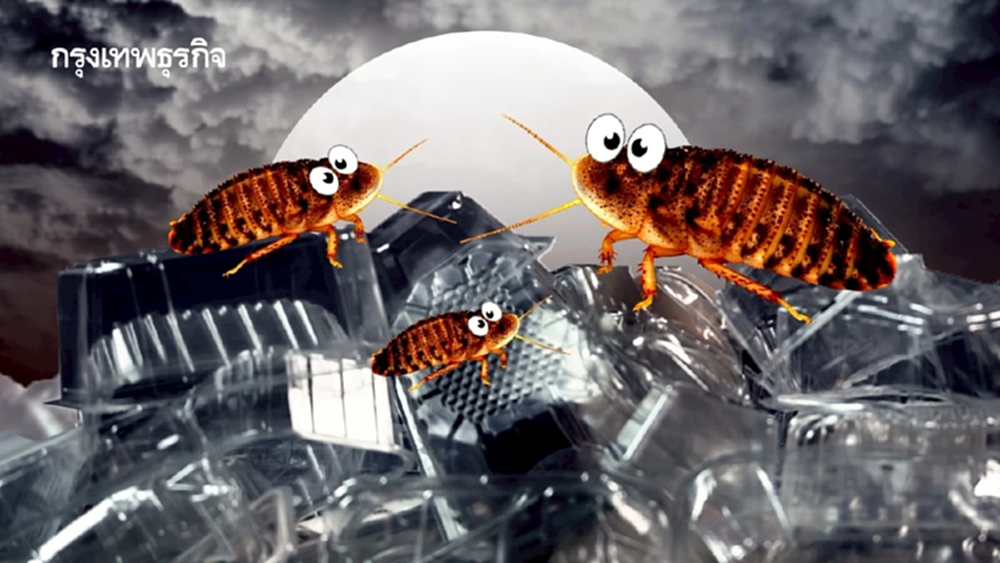 ‘แมลงสาบ’ ย่อยสลาย ‘พลาสติก’ ได้ จุลินทรีย์ในลำไส้เปลี่ยนสารเคมีเป็นพลังงานชีวิต