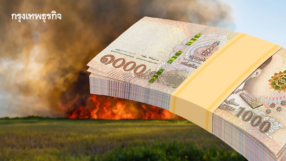 สรุป 5 จังหวัดเหนือประกาศเขตช่วยไฟป่า-PM 2.5 ปภ. จ่ายเยียวยาทันที