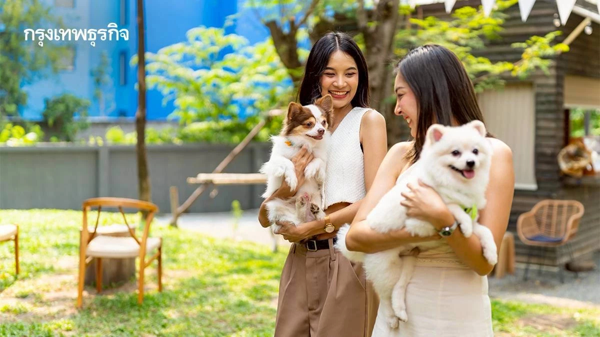 เปิด 5 วิธีดูแลเพื่อนรักสี่ขา ให้สุขภาพดีและอายุยืนยาวขึ้น