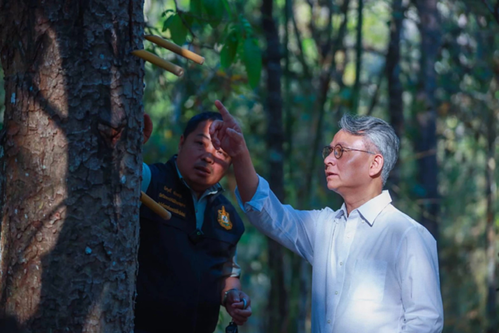 SACIT จับมือ กรมป่าไม้ ธ.ก.ส. ดันปลูก”ต้นรัก”ต่อลมหายใจงานประณีตศิลป์ไทย