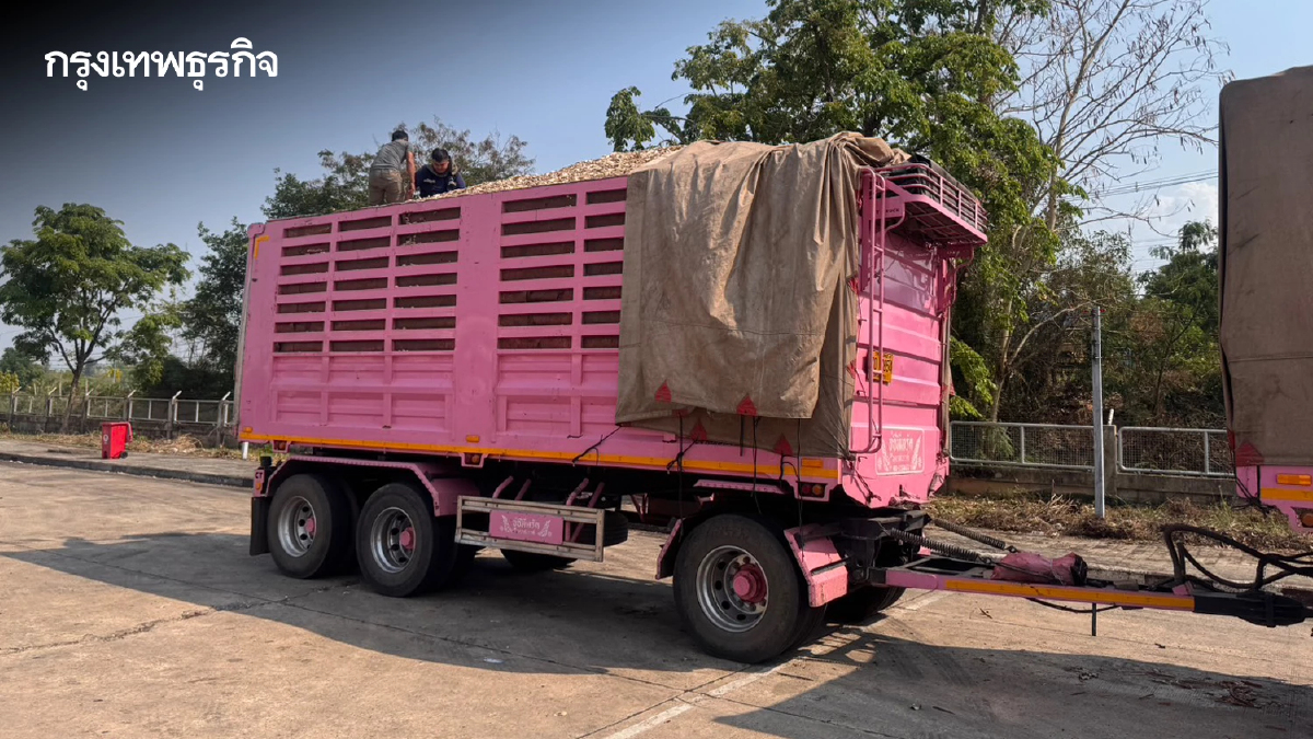 ตรวจเข้ม 4 จว. สกัดลักลอบนำเข้า 'มันเส้นด้อยคุณภาพ' จับแล้ว 24 ราย สั่งลงโทษทันที