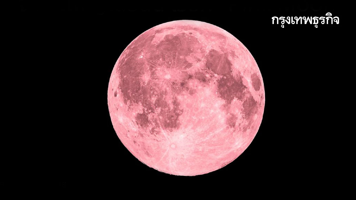 ดูให้ดี 'Pink Moon' พระจันทร์สีชมพู ปรากฏเต็มดวง ในคืนวันเพ็ญ