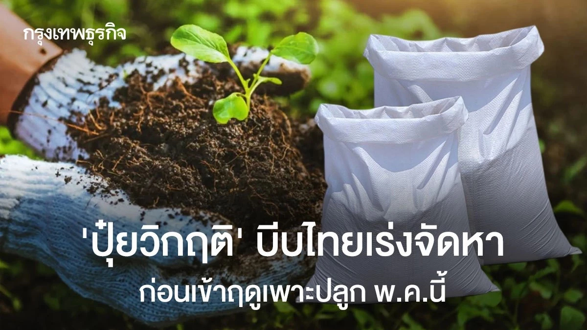 'ปุ๋ยวิกฤติ’ บีบไทยเร่งจัดหา  ก่อนเข้าฤดูเพาะปลูก พ.ค.นี้