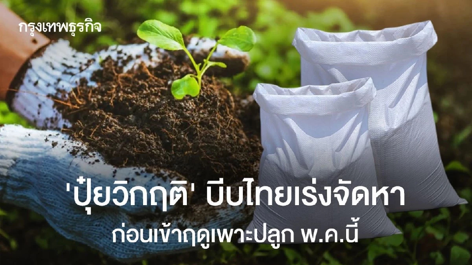 'ปุ๋ยวิกฤติ’ บีบไทยเร่งจัดหา  ก่อนเข้าฤดูเพาะปลูก พ.ค.นี้