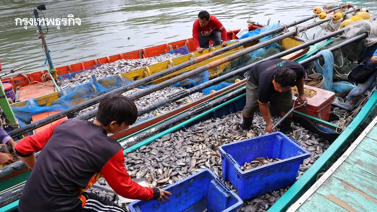 หลังสงกรานต์ ราคาสินค้าประมง พุ่ง 10-15% เรือจ่อจอด 90% กระทบแรงงาน 5 หมื่นราย