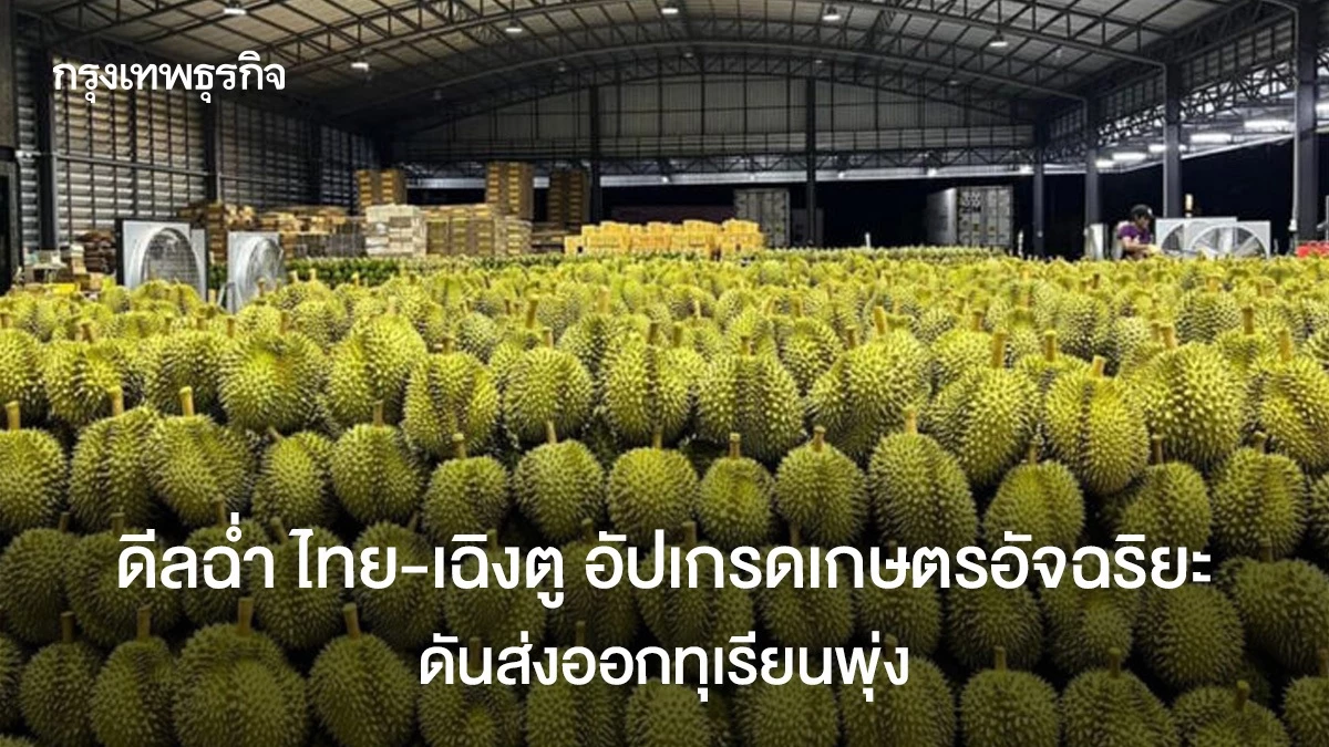ดีลฉ่ำ ไทย-เฉิงตู อัปเกรดเกษตรอัจฉริยะ ดันส่งออกทุเรียนพุ่ง