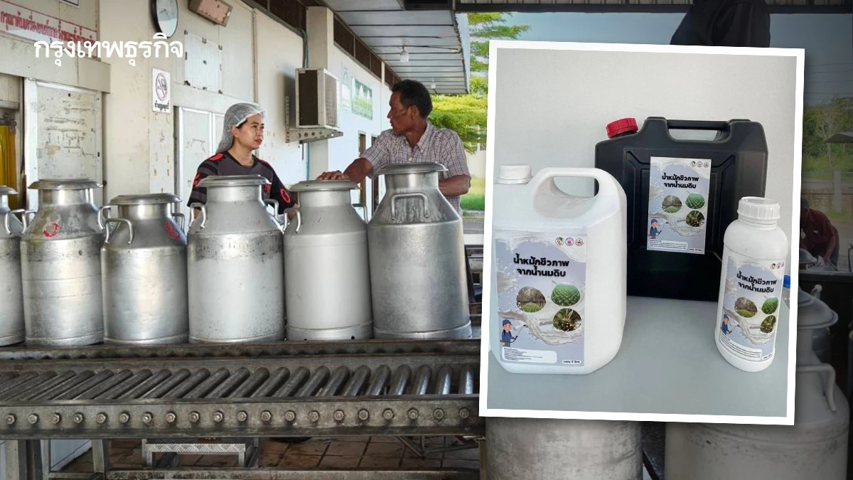 พลิกวิกฤตนมล้น ผลิตน้ำหมักชีวภาพแก้ปุ๋ยแพง ทางรอดเกษตรกรไทย