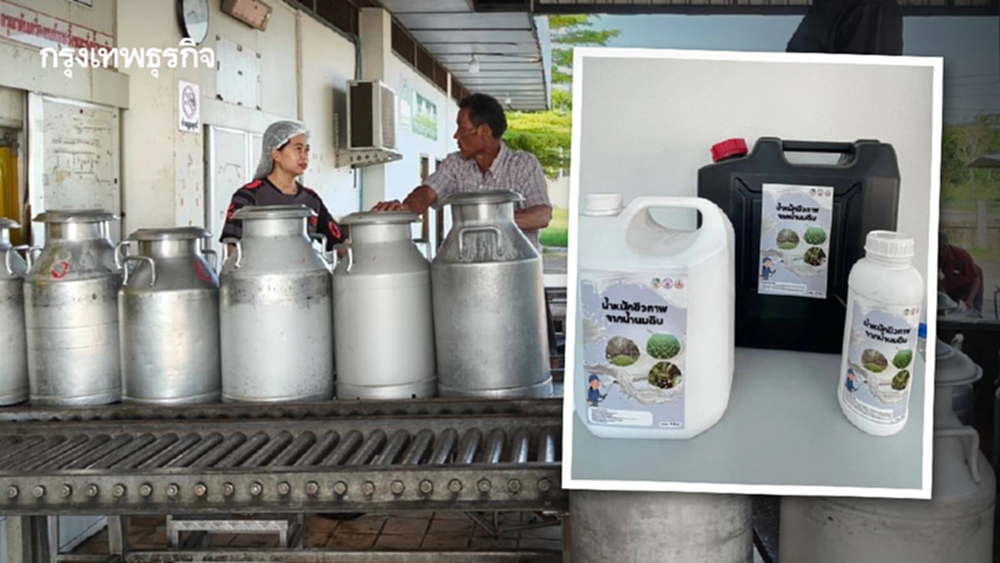 พลิกวิกฤตนมล้น ผลิตน้ำหมักชีวภาพแก้ปุ๋ยแพง ทางรอดเกษตรกรไทย