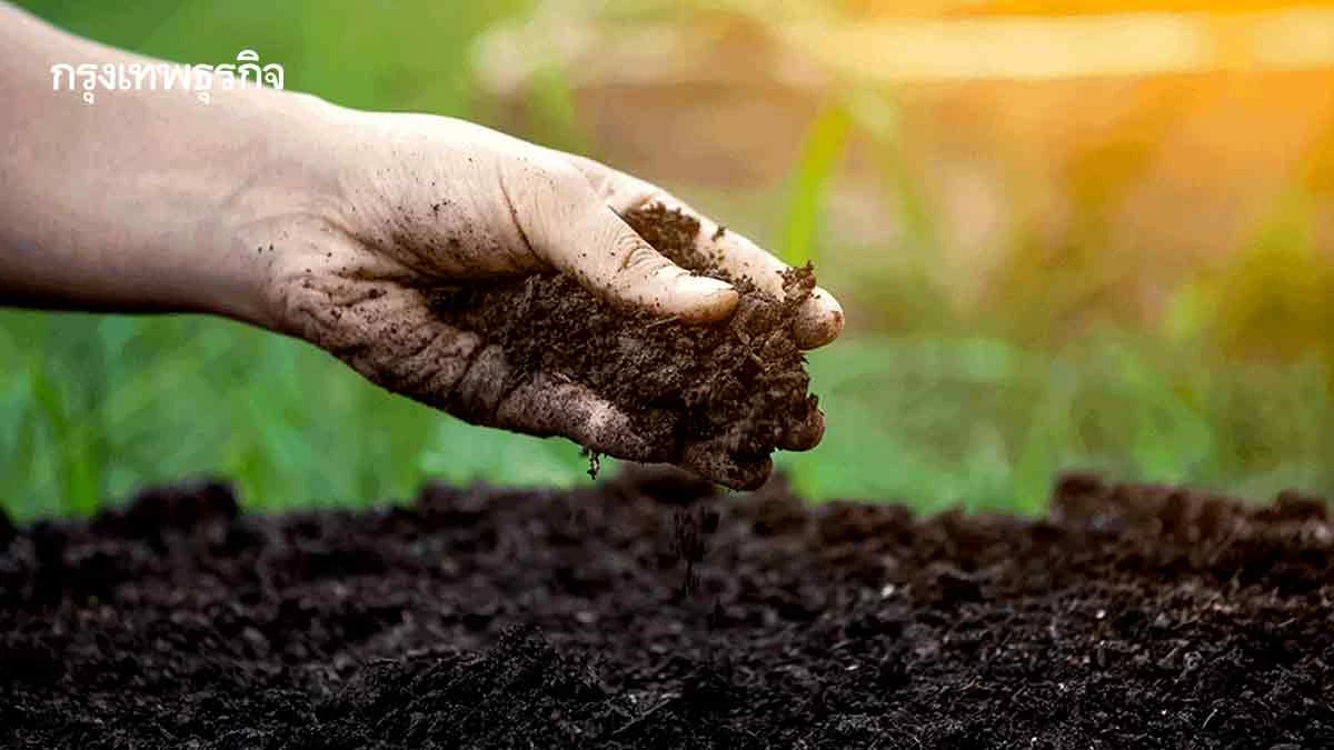 ‘ปุ๋ยหมักชีวภาพ'น้ำนมดิบ’ล้นตลาดดีกว่าเททิ้ง           แม้ขายได้กก.ละ12 บาทจากต้นทุน 21บาท