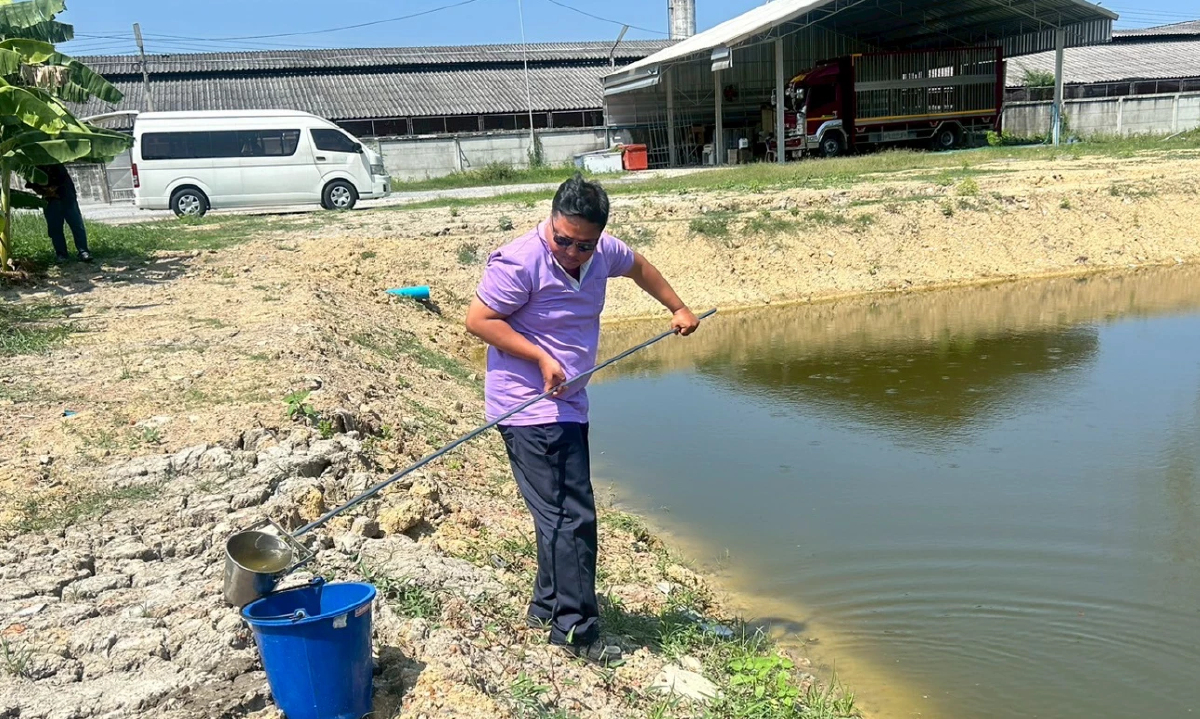 90% ตกเกณฑ์! คพ. คุมน้ำเสีย 'โรงฆ่าสัตว์เล็ก' ทั่วไทย พบค่า BOD พุ่ง
