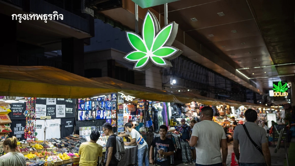 'ร้านขายกัญชา'ลดฮวบเหลือแค่ 3,000 แห่ง สธ.มุ่งทางการแพทย์เต็มรูปแบบ