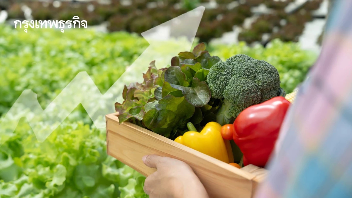 ตลาด ‘เกษตรอินทรีย์โลก’ พุ่ง 1.57 แสนล้านดอลลาร์ พลิกสู่โครงสร้างหลักระบบอาหารโลก